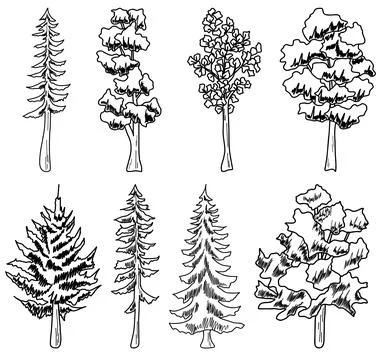 Forest Tree line. set of graphics trees elements outline symbol for architecture Stock Illustration