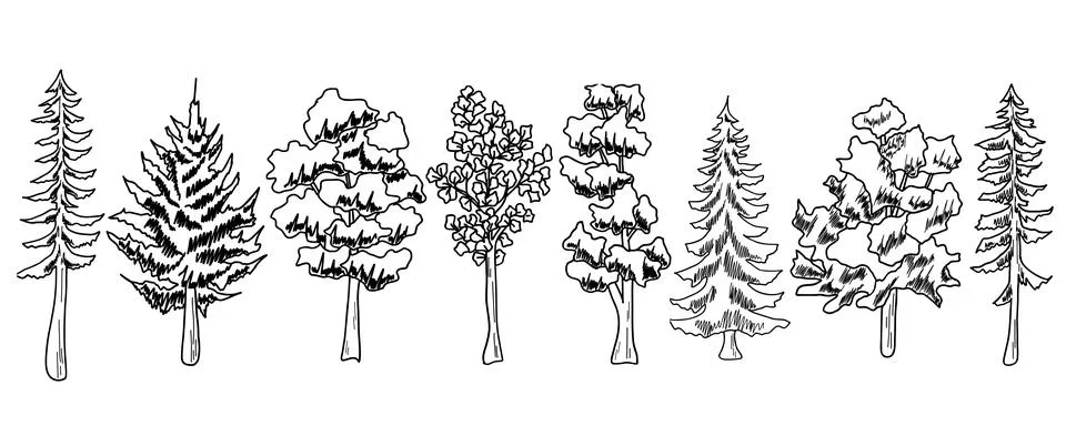 Forest Tree line. set of graphics trees elements outline symbol for architecture Stock Illustration