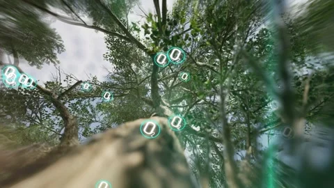 Forest tree producing oxygen icon from co2. Global warming theme concept Stock Footage 266518834