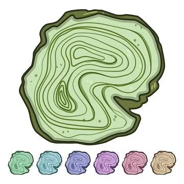 Forest tree rings cartoon vector graphic Stock Illustration