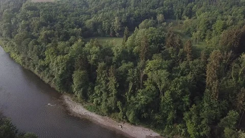 Forest, Tree, River, Riverside, Aerial, 4K, Sunrise 스톡 동영상 90529013
