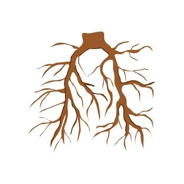 Forest tree root cartoon vector illustration Stock Illustration