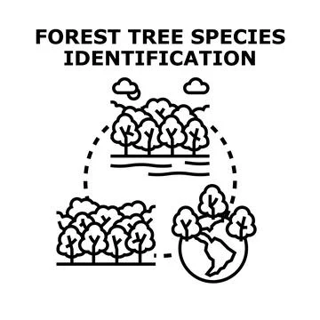 Forest tree species identification and biodiversity investigation Stock Illustration