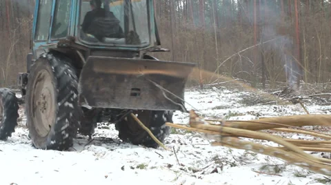 Forest Tree Tractor 스톡 동영상 34203997