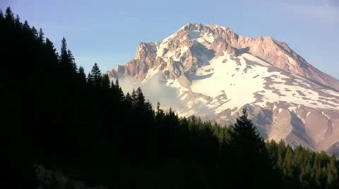 Forest treeline with Mount Hood Stock Footage 10828533
