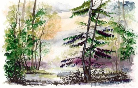 Forest with trees and grass in the swamp Stock Illustration
