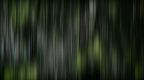 Forest trees background5 動画素材 1067955
