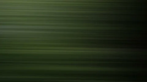 Forest trees background7123 動画素材 1068513