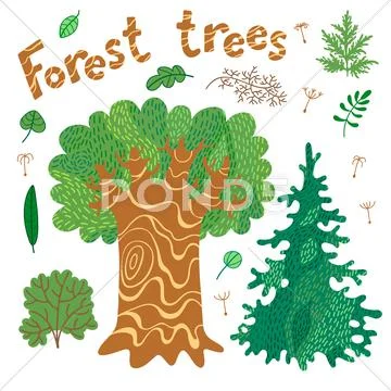 Forest trees, bushes, leaves. Stock Illustration