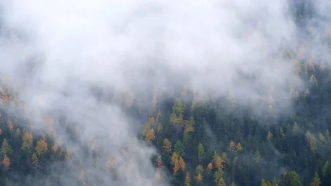 Forest trees with clouds and mist fog  and red ski lift in Dolomites 库存影片 86289057