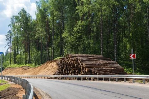 Forest trees deforestation for the construction of the new city 스톡 사진