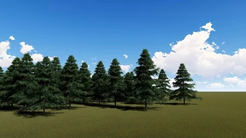 Forest Trees Dolly Shot With Sky and Clouds 3D Rendering Stock Footage 120412523