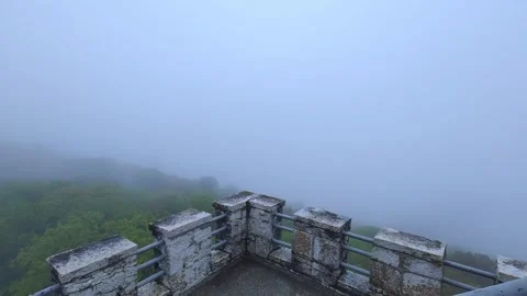 Forest trees in the fog with copy space. View from the ancient tower. Stock Footage 274303590