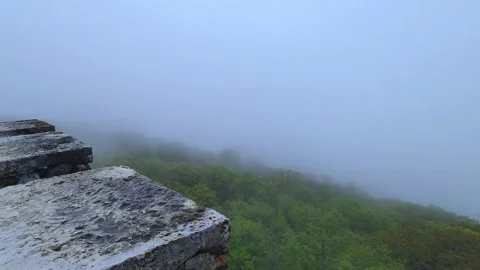 Forest trees in the fog with copy space. View from the ancient tower. Stock Footage 274903445