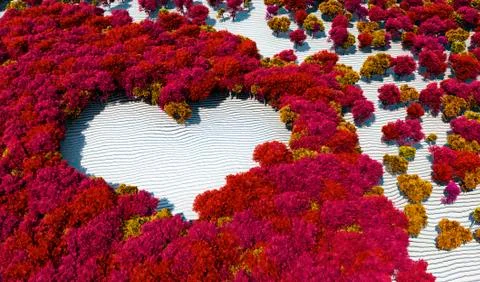 Forest trees Stock Illustration