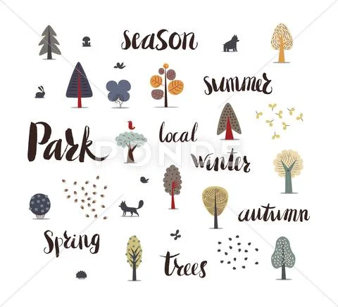 Forest trees with lettering Stock Illustration