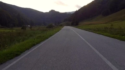 Forest trees mountain 스톡 동영상 121226428