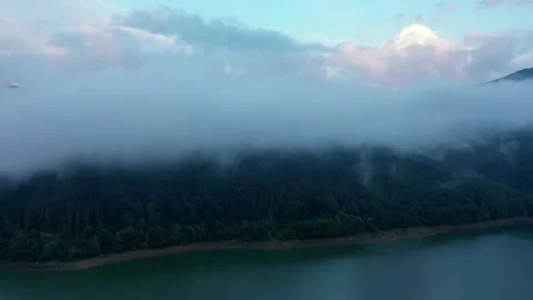 Forest with trees near a lake in the mountains aerial view Stock Footage 236180010