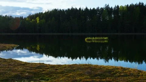 Forest trees reflecting in calm lake water Stock Footage 328788224