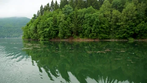 Forest trees reflecting in the water on a cloudy day, Bicaz Lake, Romania Stock Footage 152557198