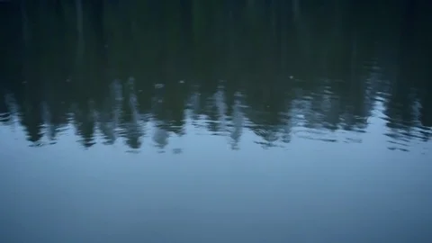 Forest trees reflection on the lake's surface with light raindrops Stock Footage 83240872