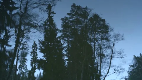 Forest trees reflection on the lake's surface with light raindrops Stock-Footage 83241052