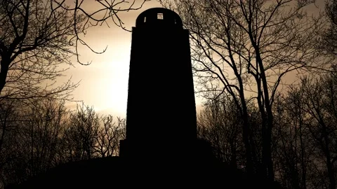 Forest Trees Silhouette Branches Landscape Nature, Stock Footage 236942364