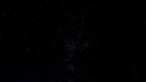 Forest Trees Silhouette Canopy and Sky Stock Footage 239717442