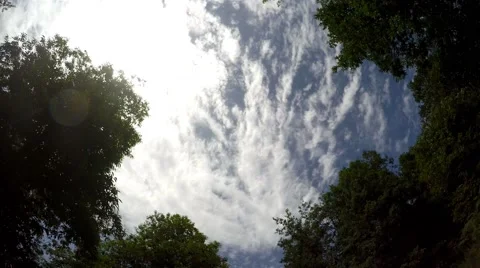 Forest, Trees, Sky and Sun, Camera Car, 4k Vídeos de archivo 54278577