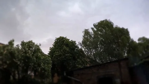 Forest trees wind weather flash Stock Footage 93735730