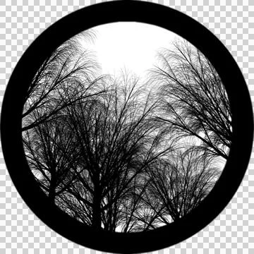 Forest Trees Without leaves Gobos Light Stock-Illustration