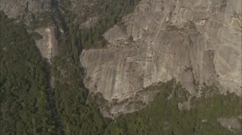 Forest Treetop Stock Footage 40687120