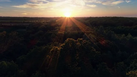Forest treetops at sunset aerial view Video stock 75656955
