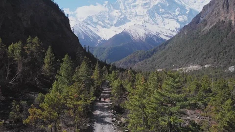 Forest trekking path under Annapurna II snow face lead to buddhist Mani wall Stock Footage 124679429