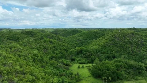 Forest tropical Cebu mountain drone aerial Philippines exotic plants Stock Footage 314518913