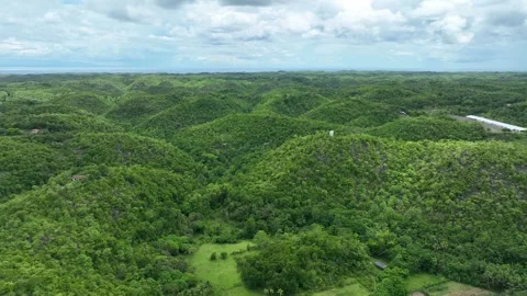 Forest tropical mountain Cebu drone aerial Philippines exotic biodiversity Stock Footage 311568592
