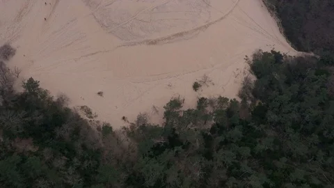 Forest turns into huge sand dune, aerial looking over dunes Stock Footage 102860962