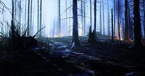 Forest in twilight with visible fire remnants and charred trees Stock Illustration