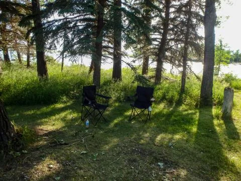 A forest with two chairs on the ground Stock Photos