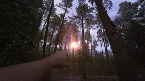 FOREST UFO HOVERING Stock Footage 248793536