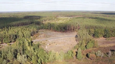 Forest. Ukraine. copter Stock Footage 63838354