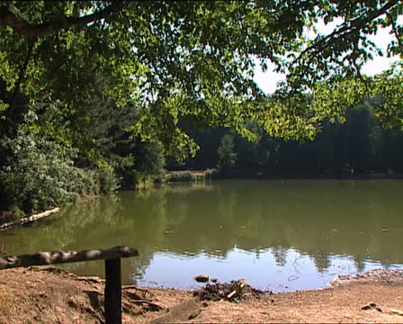 FOREST Umbrian Forest small lake pan Video stock 24077465