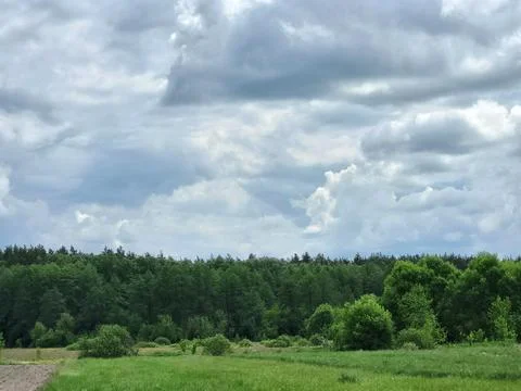 Forest under dramatic cloudy sky before rain Stock-Fotos