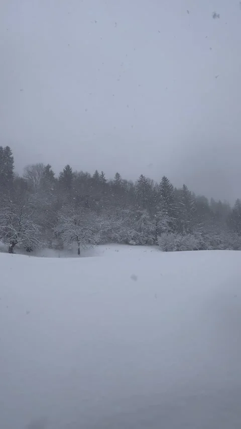 Forest under heavy snow by winter Stock Footage 336961790