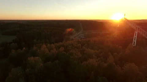 Forest under the setting sun, beautiful colors and lens flare Stock Footage 68833788