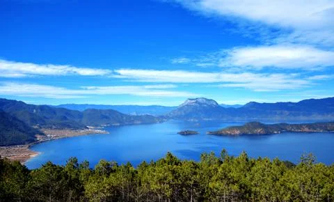 Forest under snow mountains Stock Photos