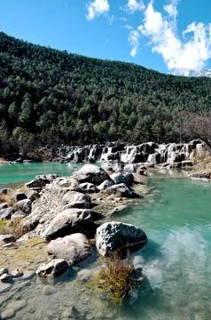 Forest under snow mountains Stock Photos