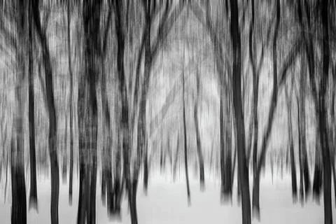  Forest under the snow in winter Motion blur effect of trees in a forest u... Stock Photos