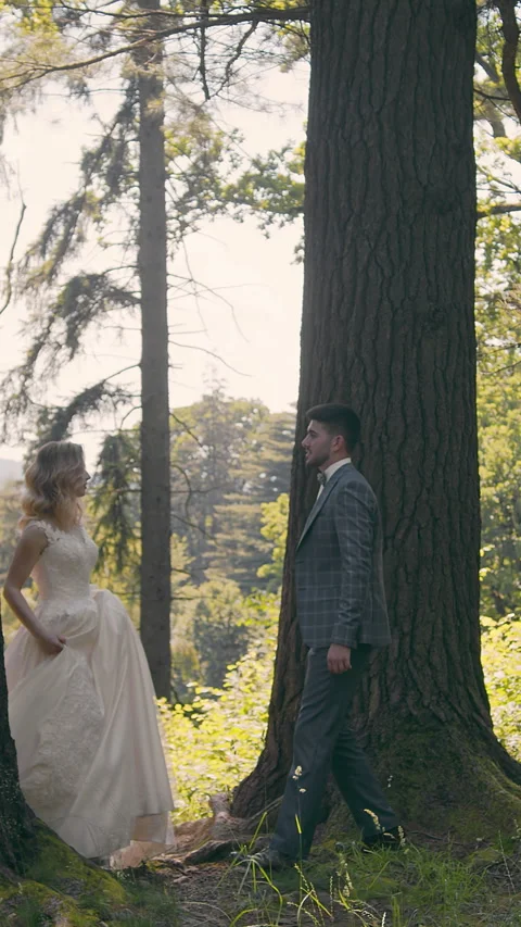 In the forest, under a stream of sunlight, a newlywed couple gently touches Stock Footage 313753631
