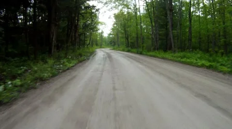 Forest unpaved road. Stock Footage